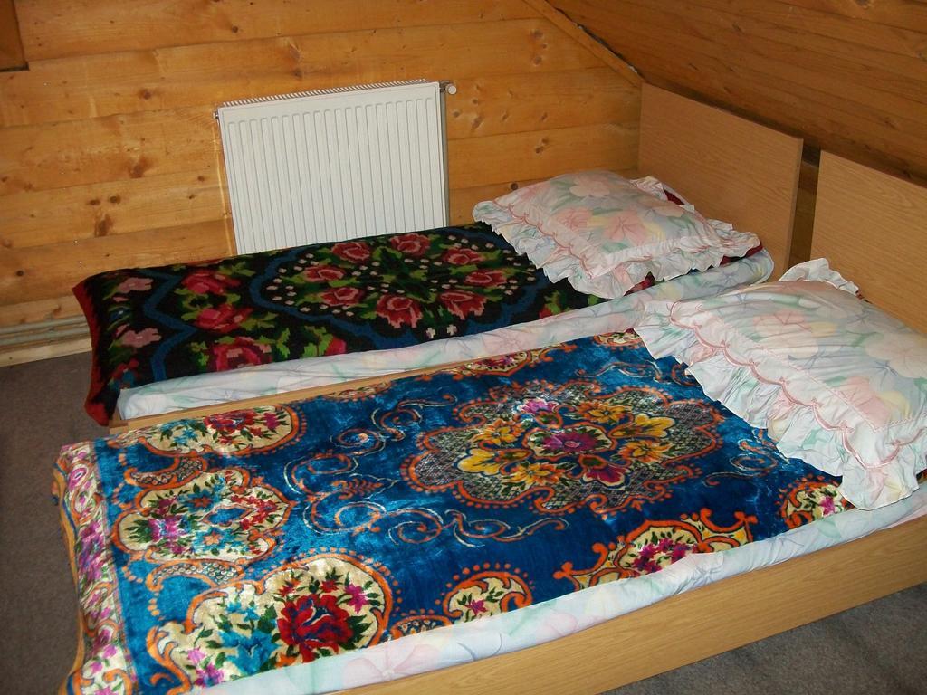 Pensiunea Carmen Bucium  部屋 写真